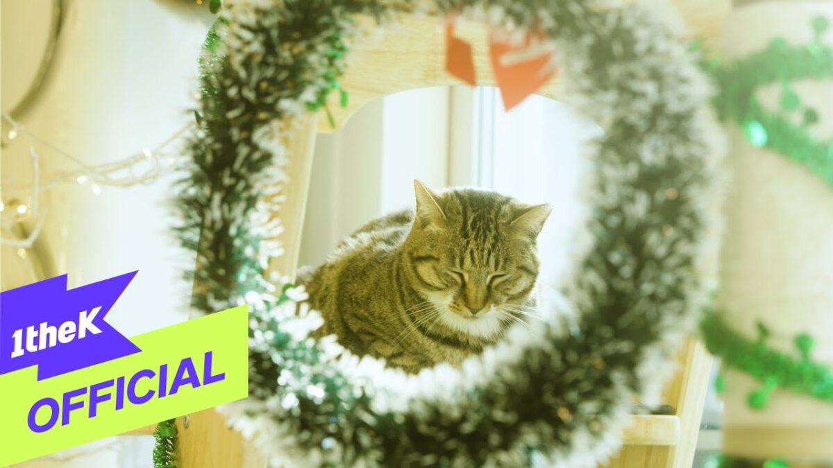 Gato descansando dentro de uma guirlanda decorativa, rodeado por luz suave e elementos festivos.