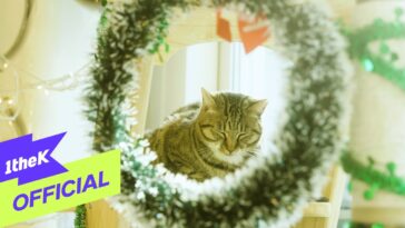 Gato descansando dentro de uma guirlanda decorativa, rodeado por luz suave e elementos festivos.